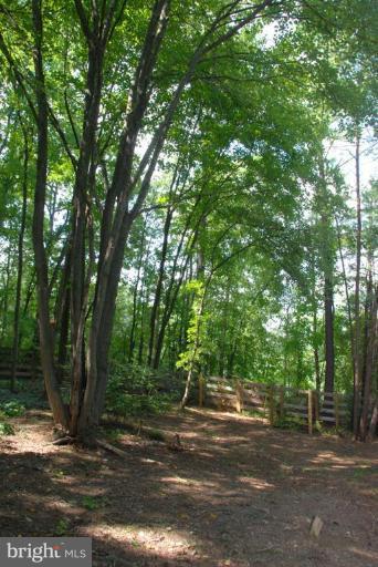 1307 Deep Run Lane Reston, VA 20190 - Photo 27 of 29 Wooded View / Acreage 2