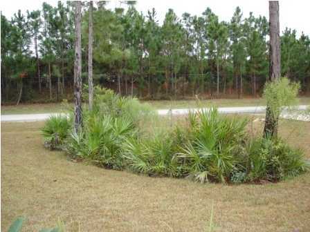 112 Shipwreck Road Santa Rosa Beach, FL 32459 - Photo 5 of 23 a backyard of a house with lots of green space and lake view