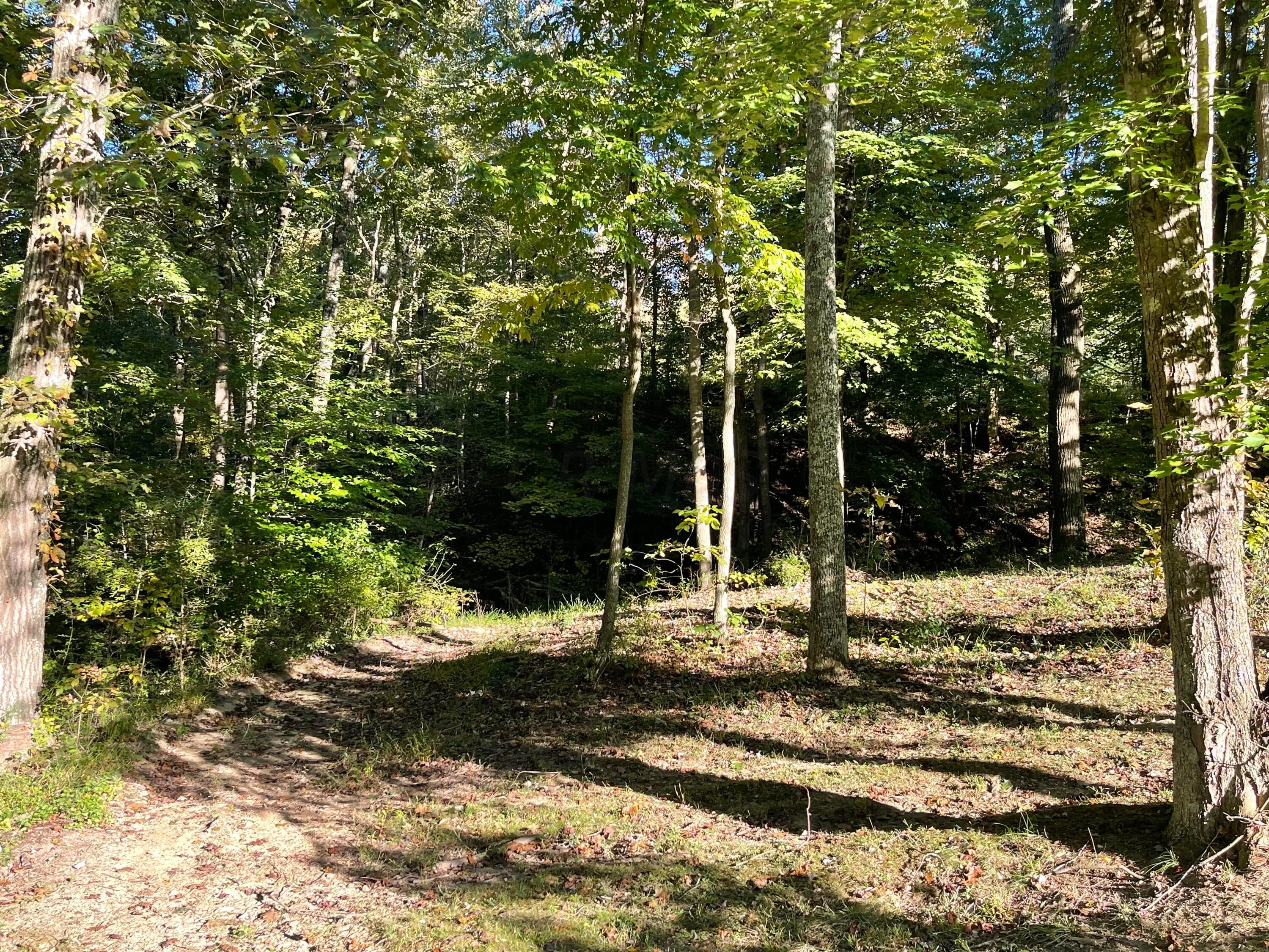 35160 Geiger Road Logan, OH 43138 - Photo 18 of 39 IMG_8177