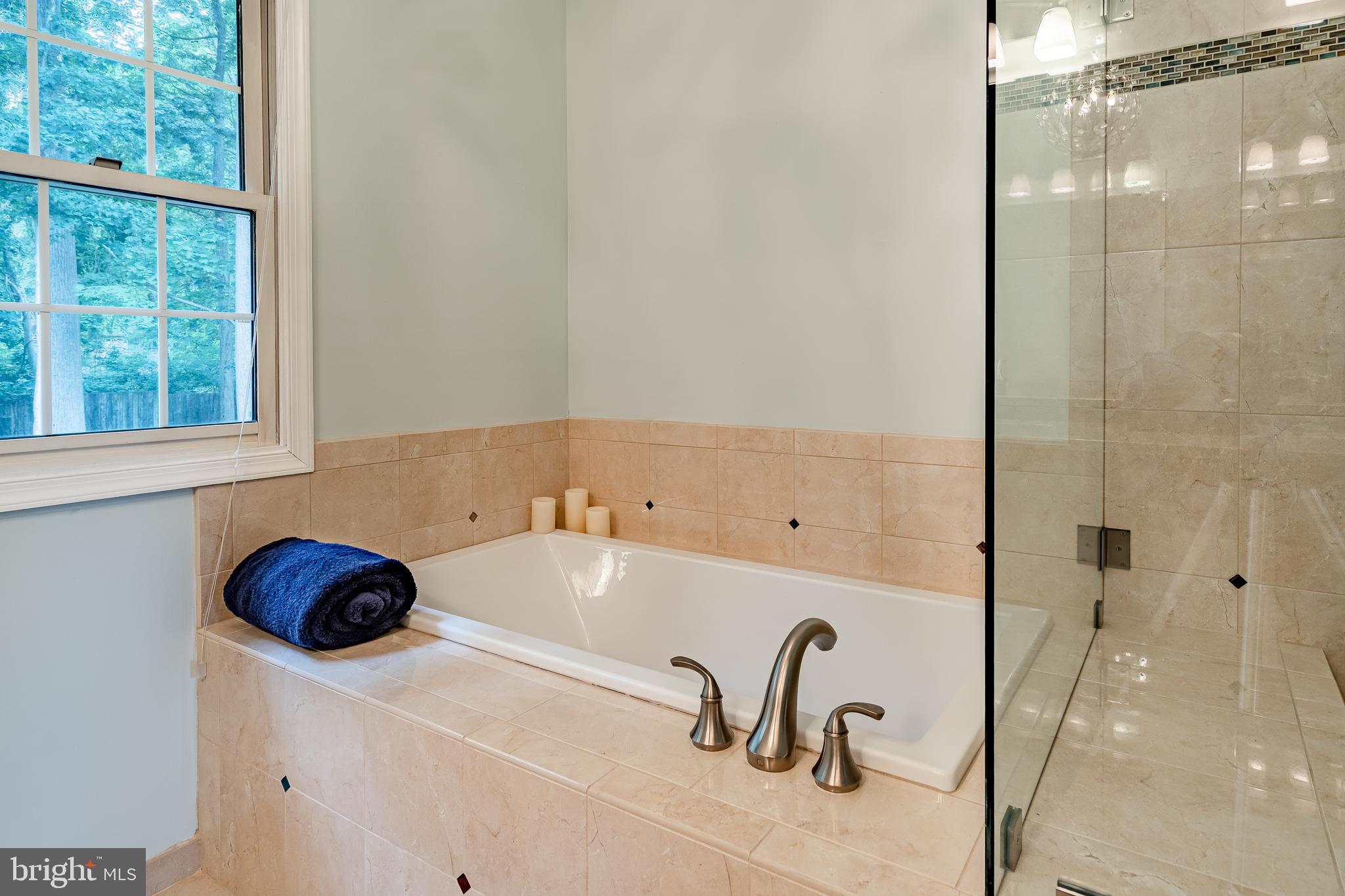 126 Hamilton Road Landenberg, PA 19350 - Photo 34 of 80 Master Suite Soaking Tub