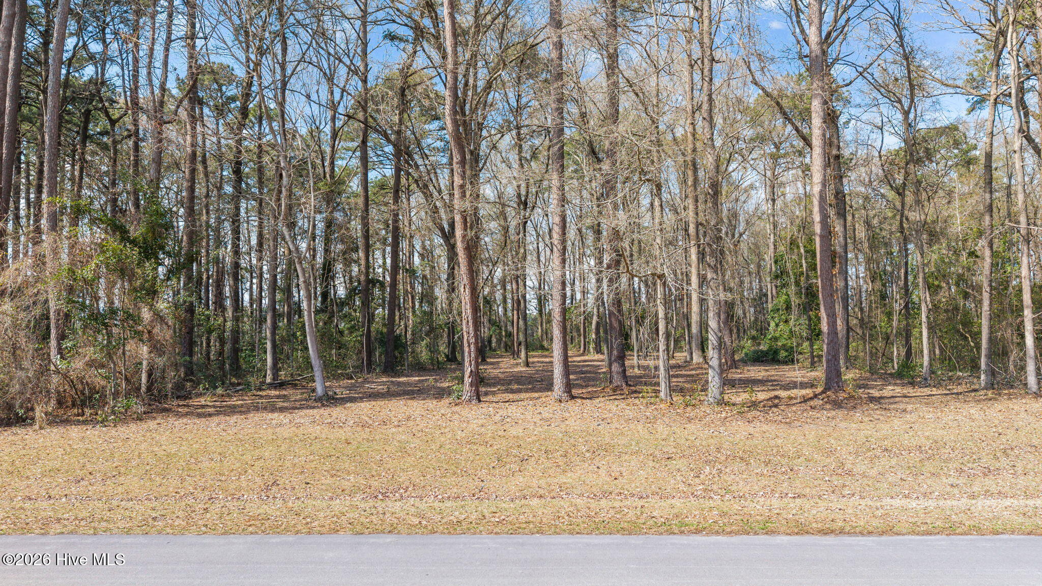 16 Winfield Lane Pinetown, NC 27865 - Photo 2 of 21 0707BD39-72BE-4A25-BE53-F2535173C66C