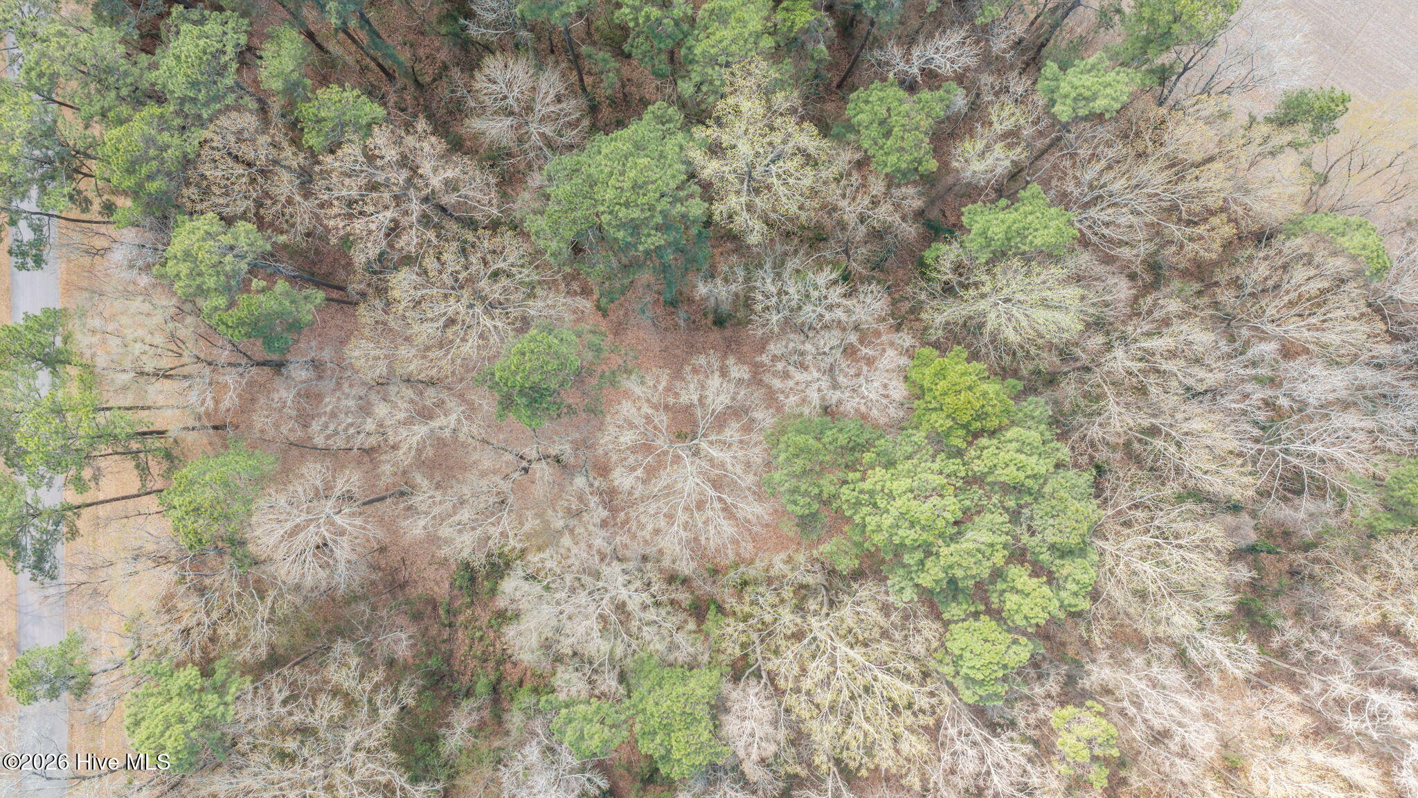 16 Winfield Lane Pinetown, NC 27865 - Photo 8 of 21 9D014FDF-DEBE-4D32-A7F2-3310BF0446A7