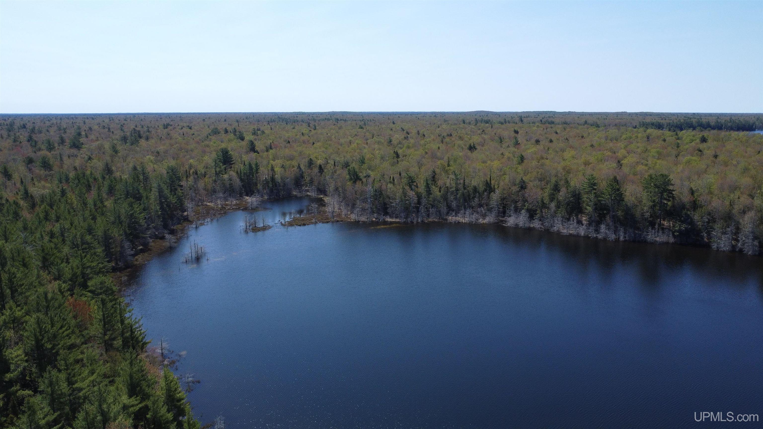 Off Adams Trail Shingleton, MI 49884 - Photo 19 of 46