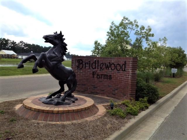 3014 Gulfstream Lane Ridgeville, SC 29472 - Photo 43 of 51 Welcome to Bridlewood! clear