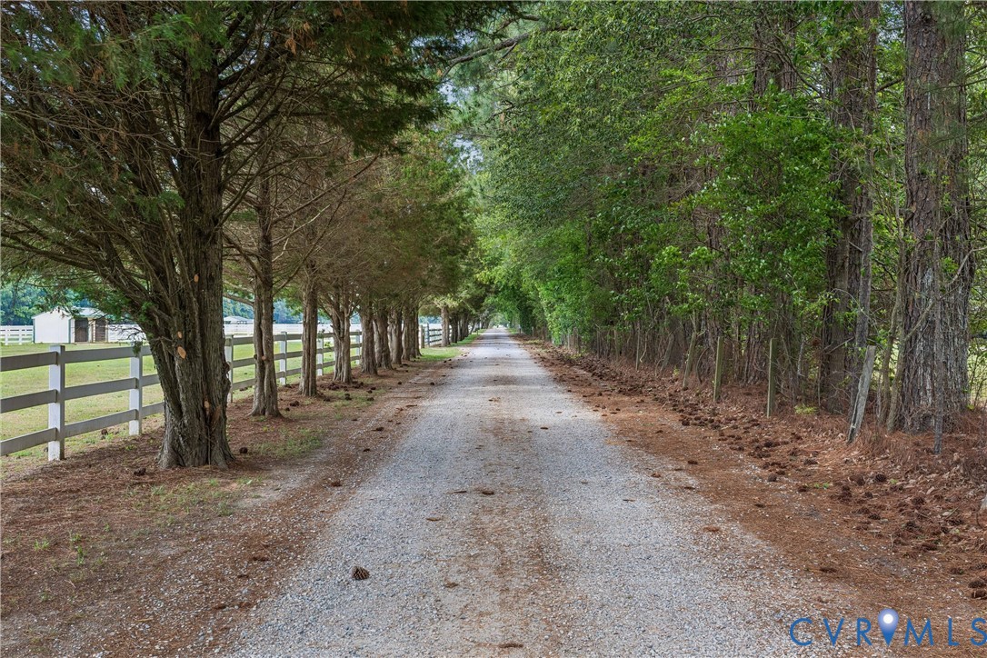 2016 Forge Road Toano, VA 23168 - Photo 2 of 99 Gravel driveway flanked by mature trees and a whit