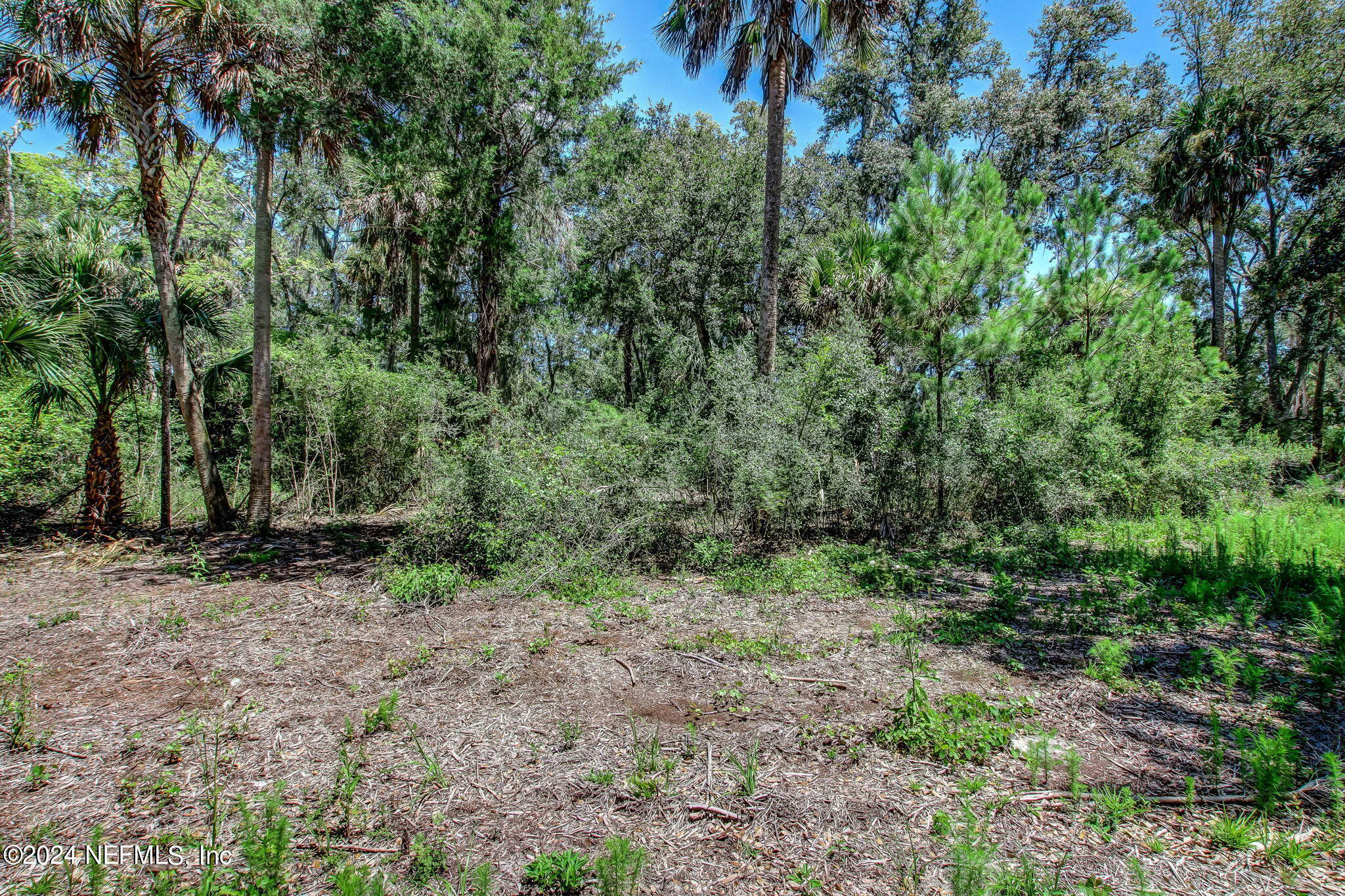242 Shell Ridge Lane Ponte Vedra, FL 32081 - Photo 5 of 24 4-web-or-mls-River Landing Lot 102-4