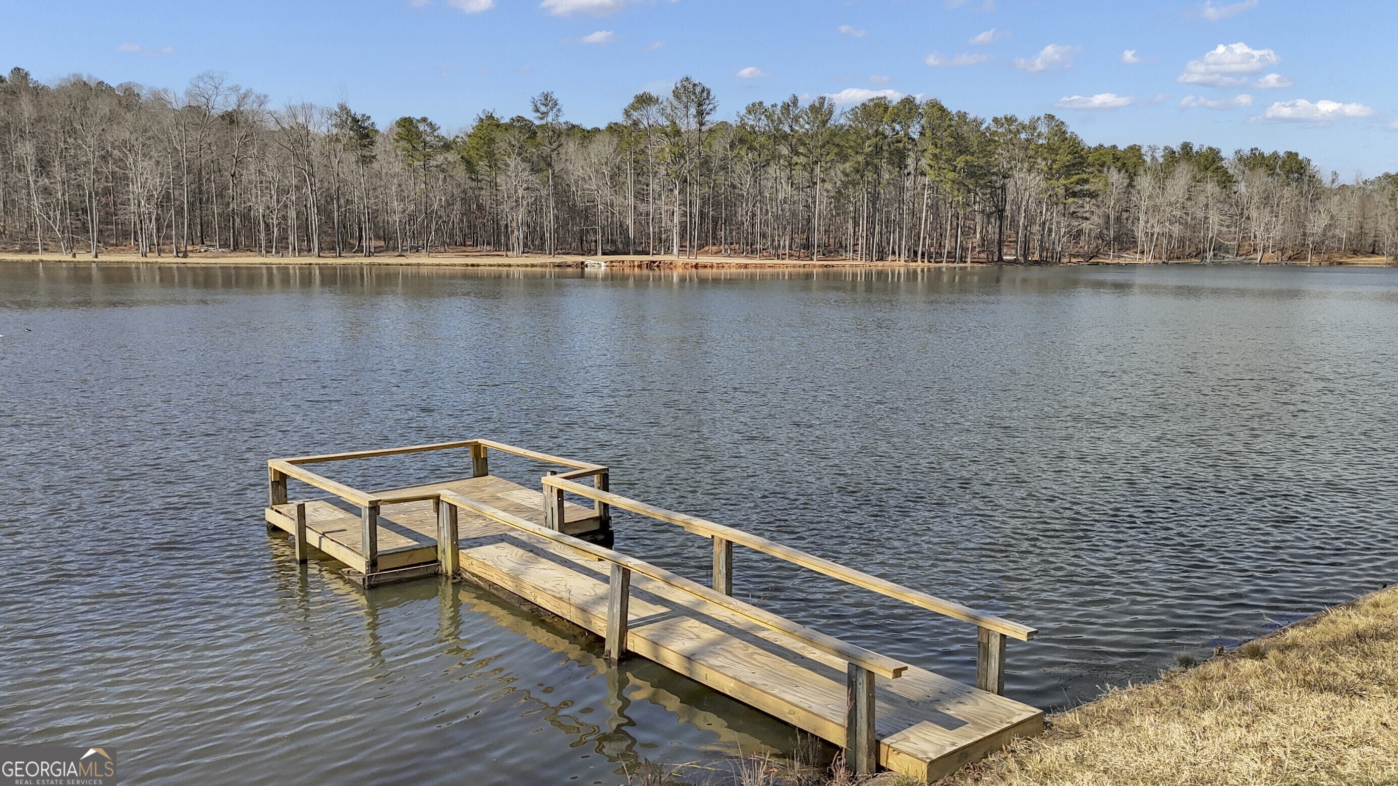 459 Lester Road Fayetteville, GA 30215 - Photo 31 of 35