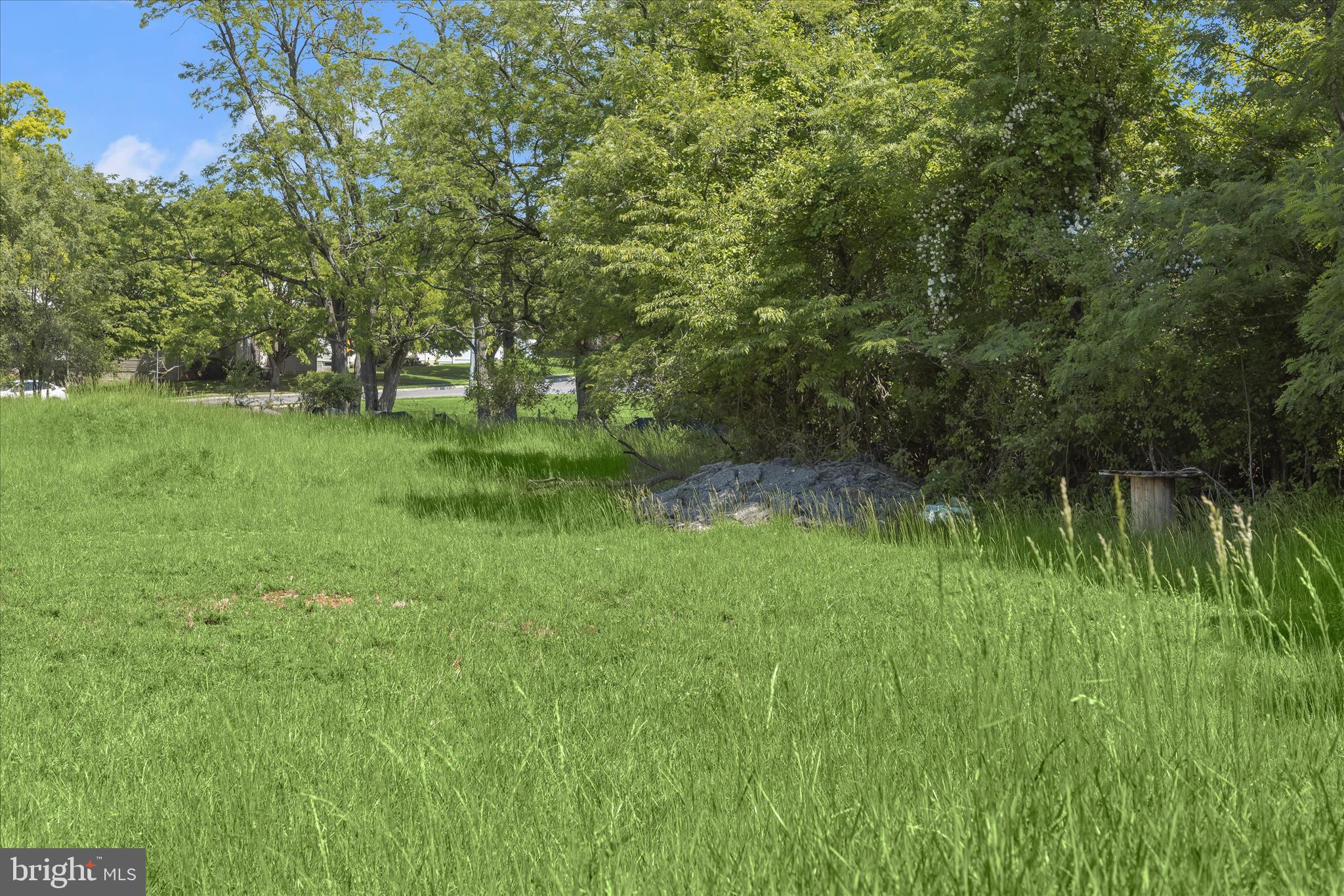 3925 Rolling Rd. Baltimore, MD 21208 - Photo 26 of 27 a view of a garden with a lake