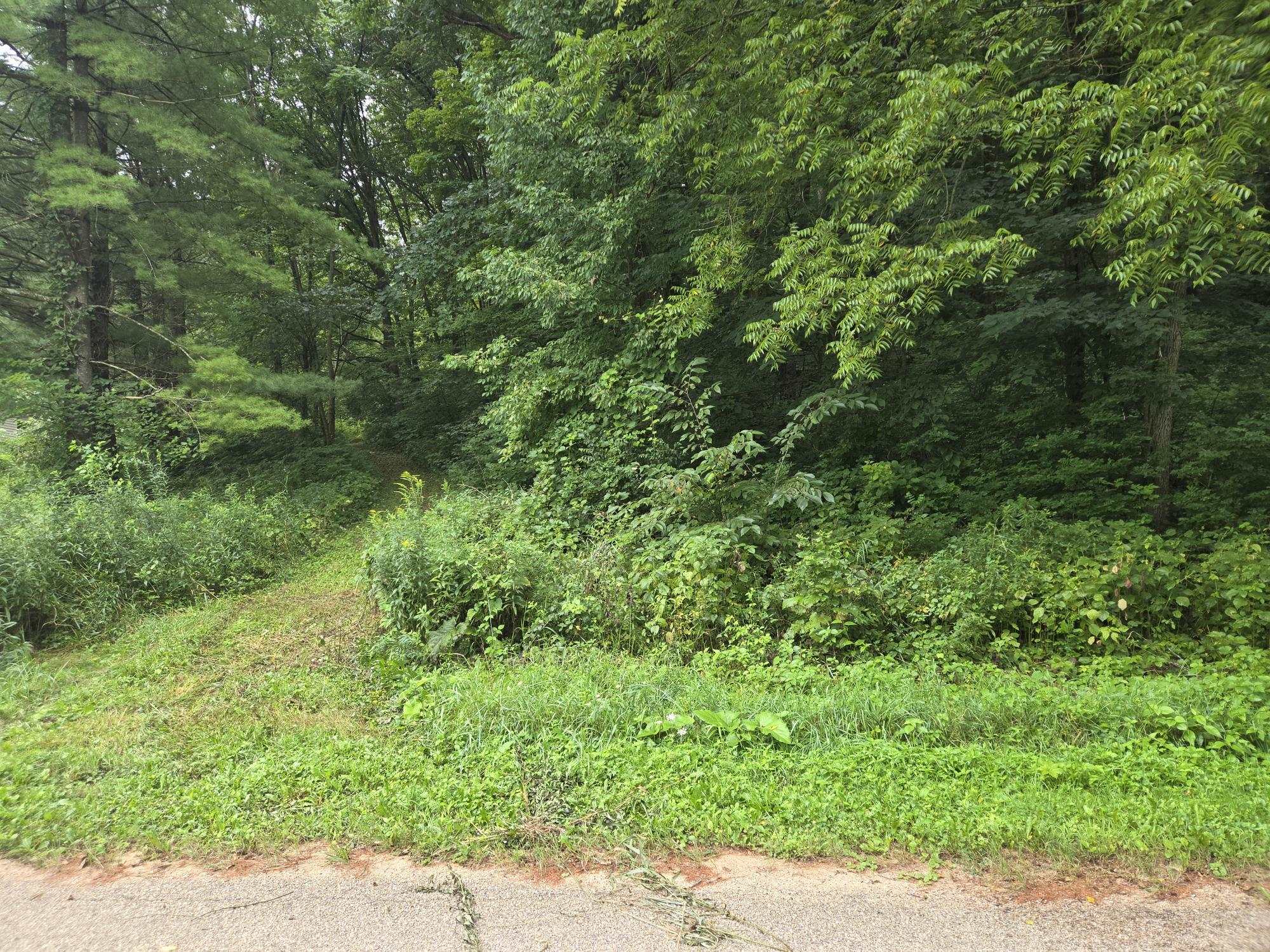 Tbd Marshall Road Richland Center, WI 53581 - Photo 10 of 11 Gallery Image 10