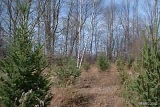 2 Scholtz Road North Branch, MI 48461 - Photo 1 of 1 Property Photo