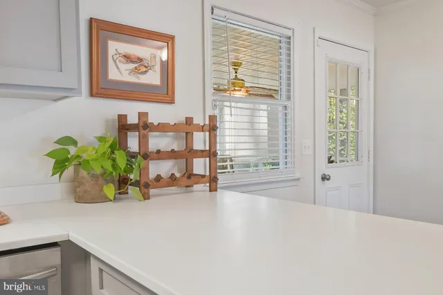 a view of a hallway with wooden floor and a potted plant