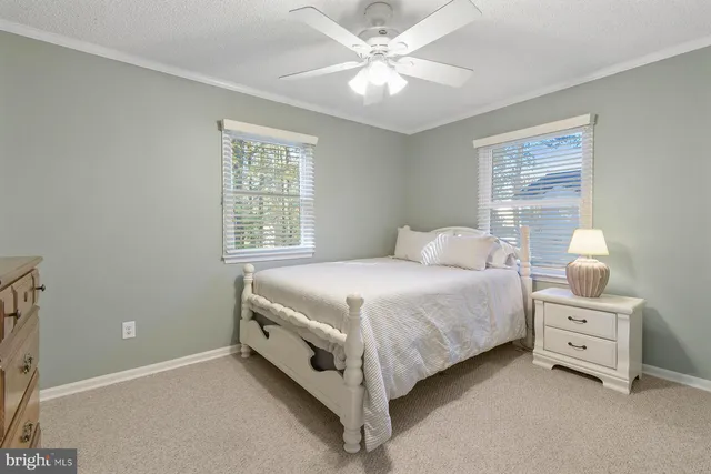 a spacious bedroom with a bed and a ceiling fan