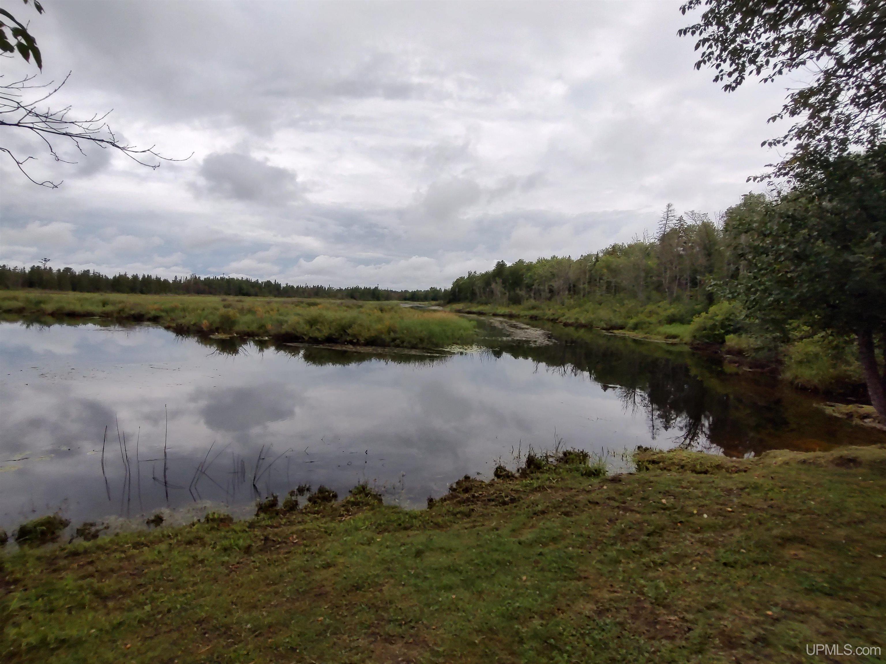 387 Rd Mcmillan Mi 49853 Road Newberry, MI 49868 - Photo 4 of 78