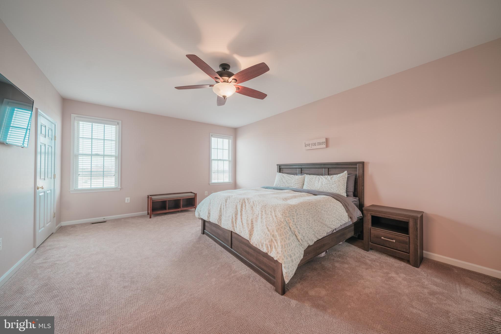 15186 Spring Ridge Road Culpeper, VA 22701 - Photo 14 of 36 Wonderful Master Suite --