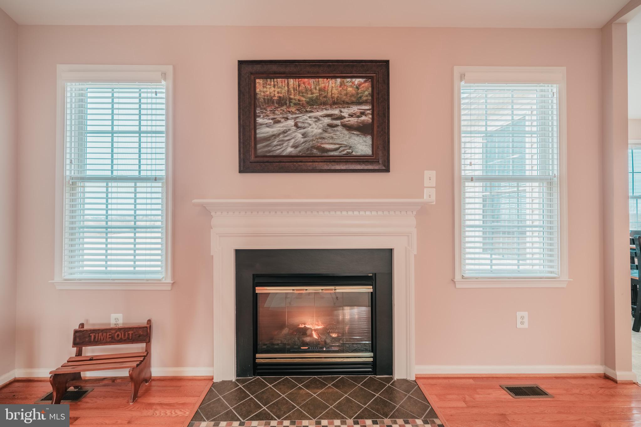 15186 Spring Ridge Road Culpeper, VA 22701 - Photo 4 of 36 Gas Fireplace for snuggling ....