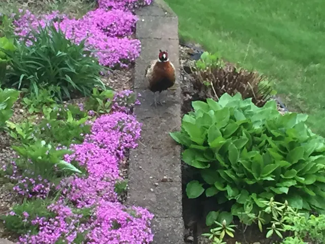 $624,900 | W5735 County Road East, Shawano, WI 54166