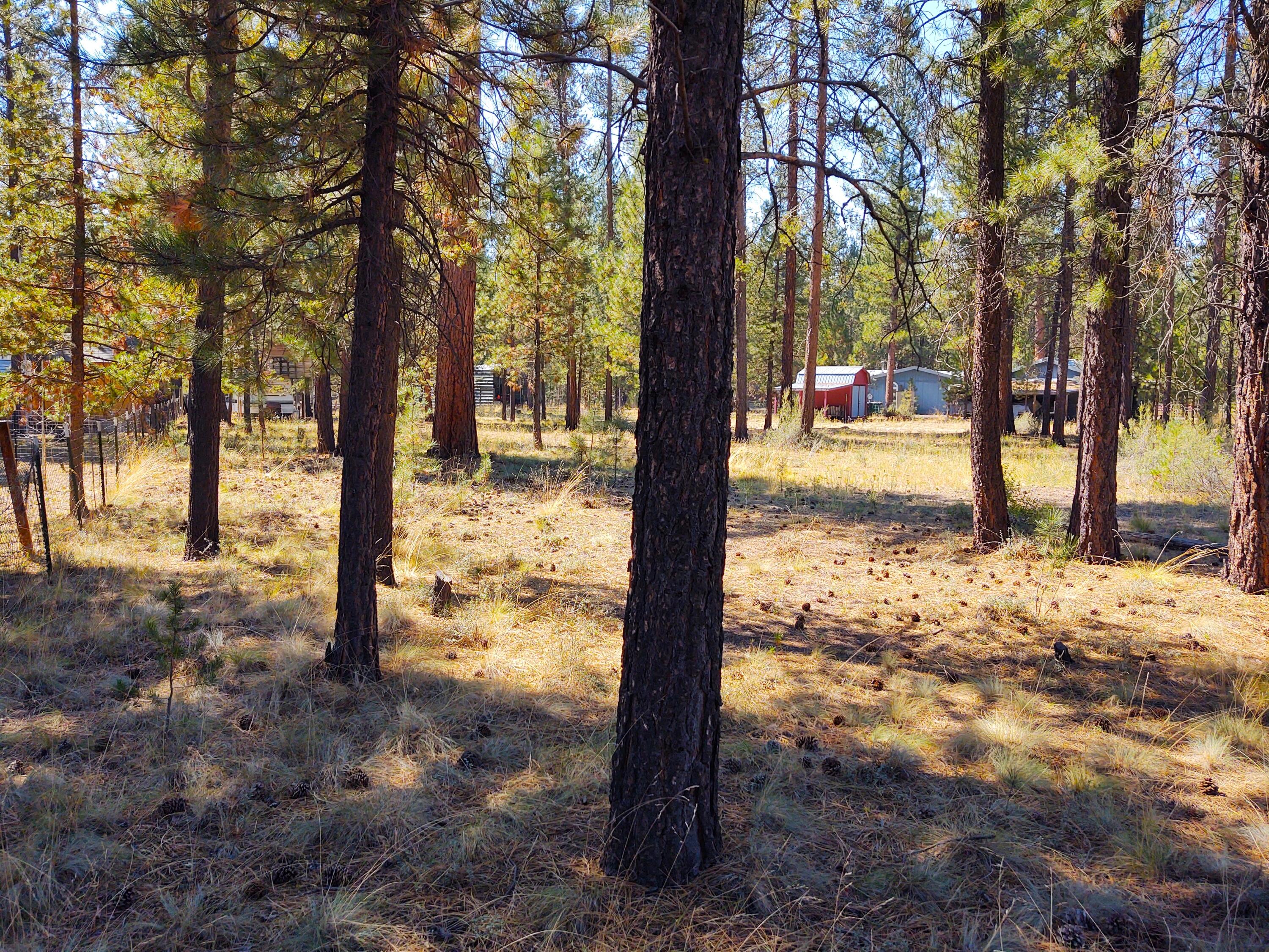 52739 Ammon Road La Pine, OR 97739 - Photo 4 of 12 IMG_20220905_140956922