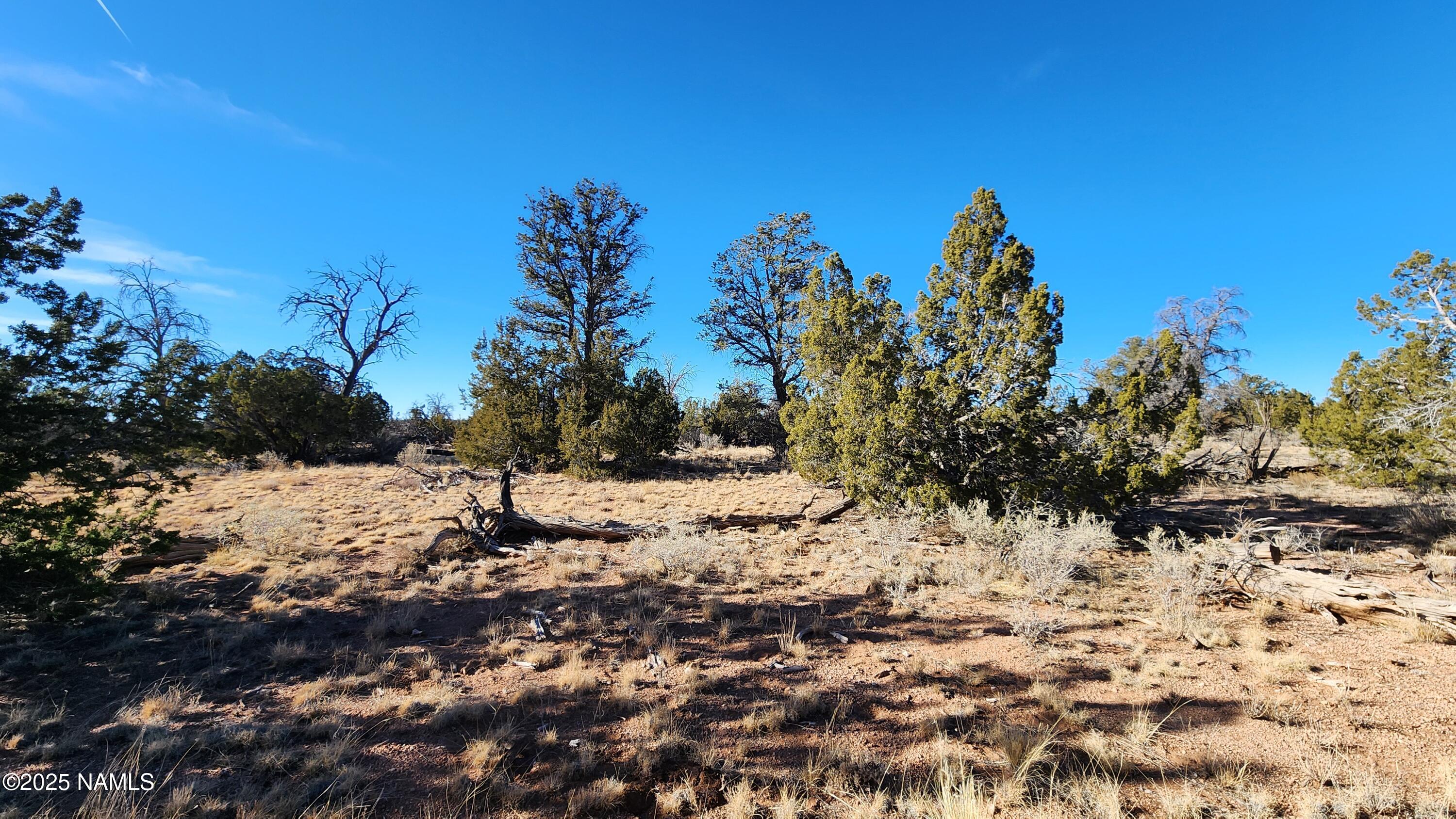 5535 Red Butte Road Williams, AZ 86046 - Photo 19 of 40 1000024115