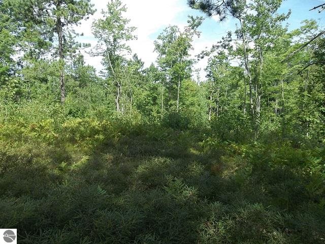 2576 Valley Road Northwest Kalkaska, MI 49646 - Photo 11 of 13 1789927-10.JPG