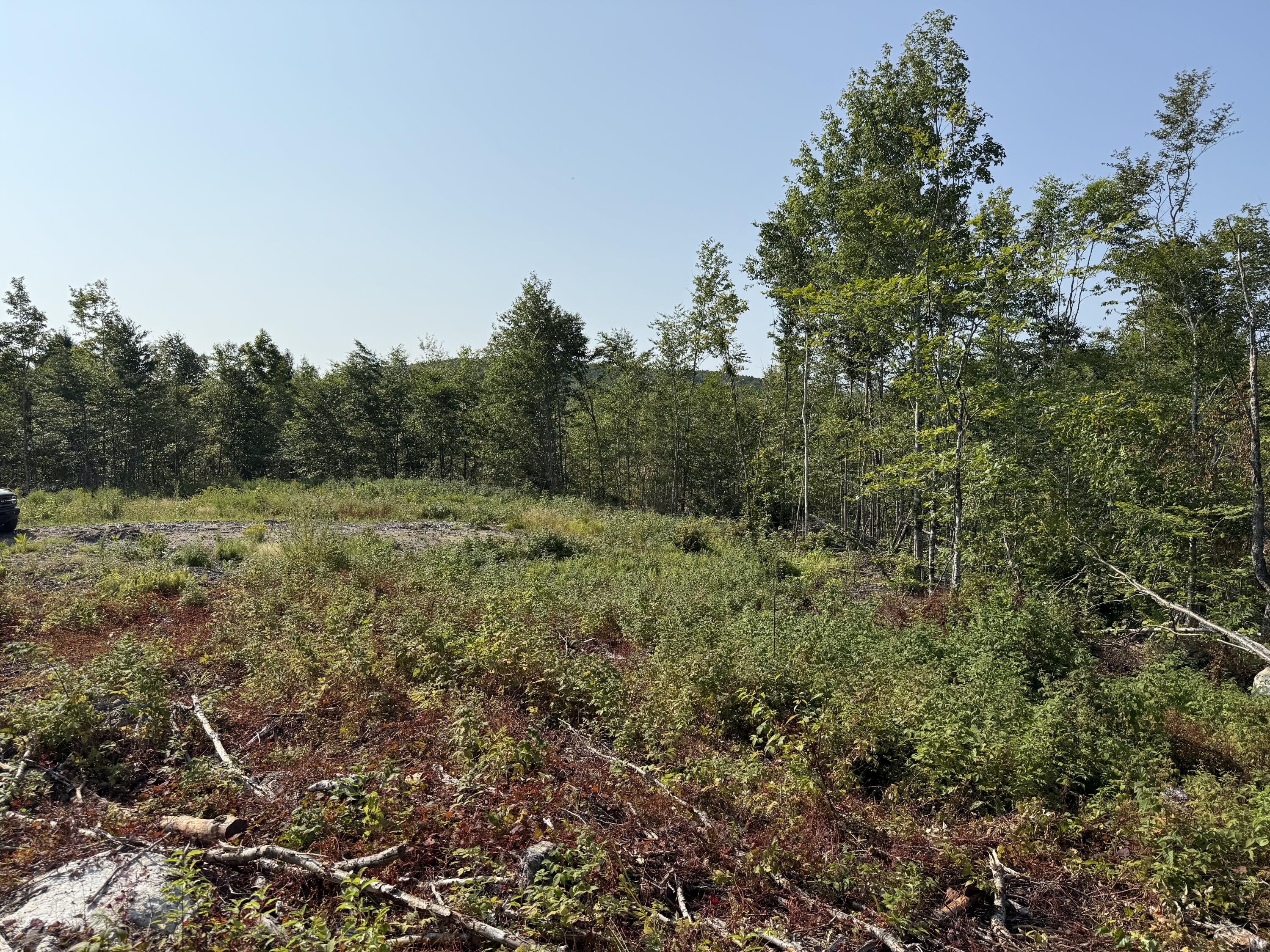 Tbd Oak Mountain Road Springfield, ME 04487 - Photo 2 of 9 IMG_8578