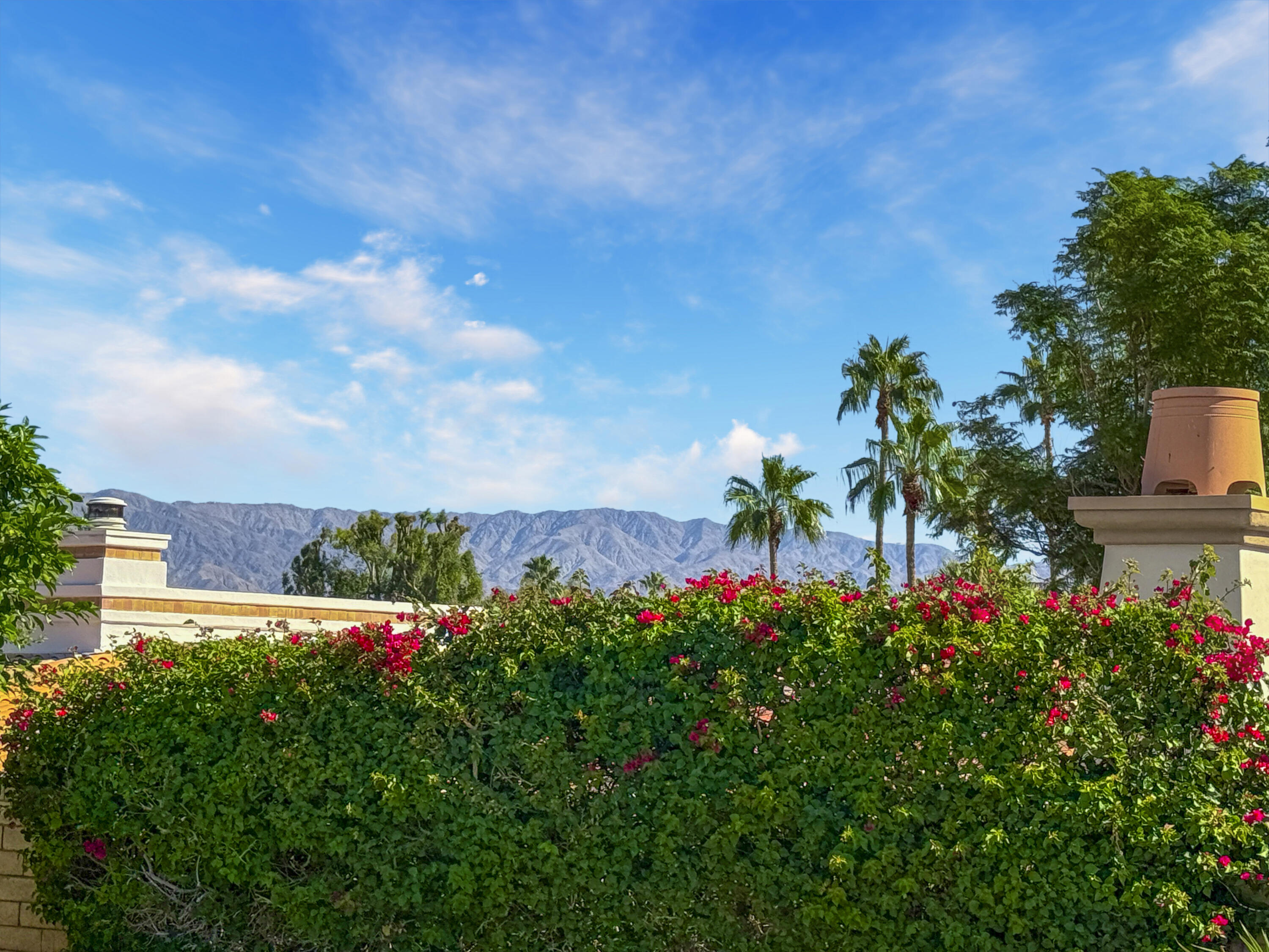 79170 Starlight Lane Bermuda Dunes, CA 92203 - Photo 25 of 33 a view of a flower in a garden