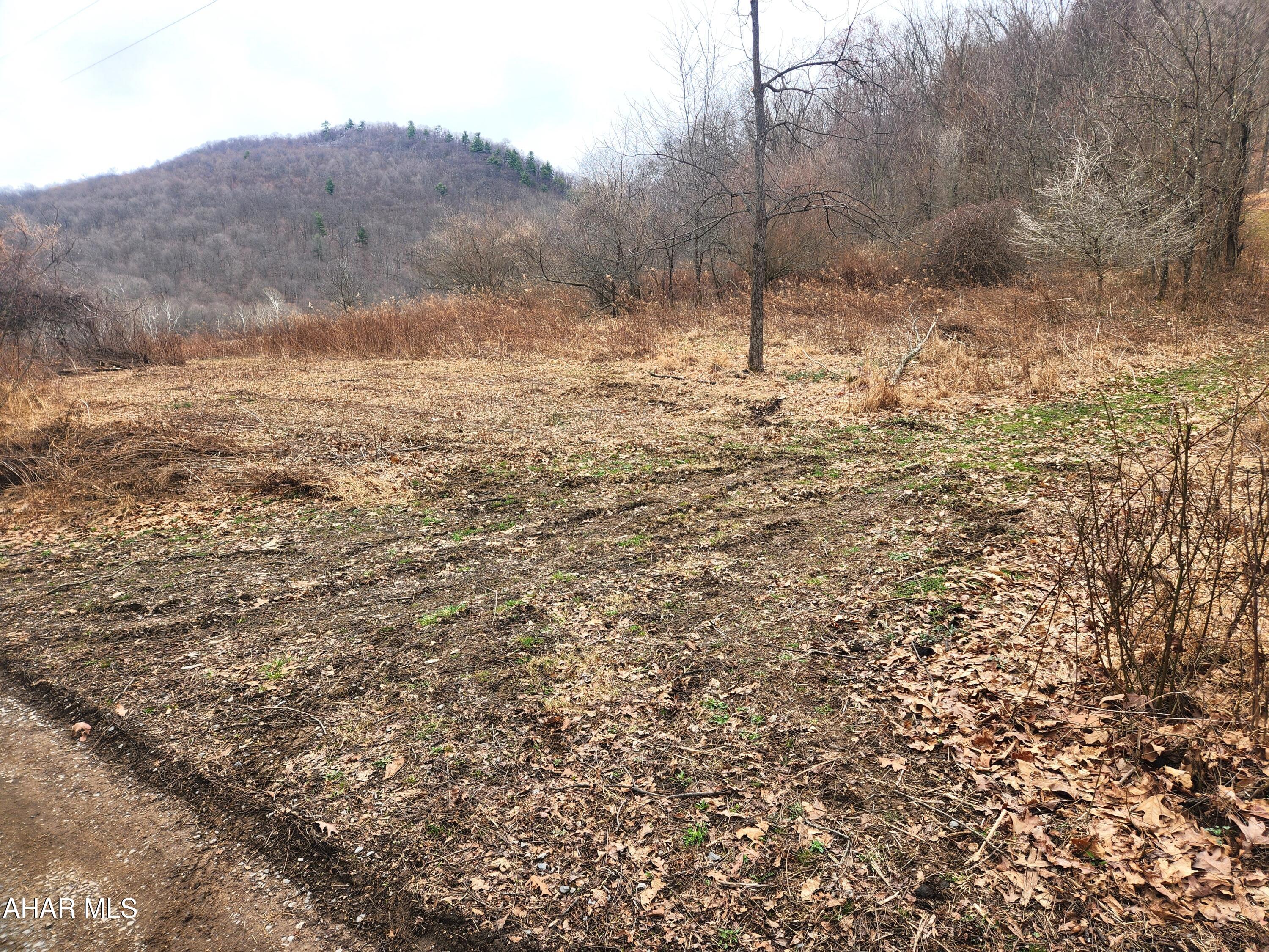 303 Wake Road Buffalo Mills, PA 15534 - Photo 2 of 31