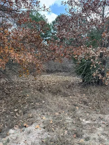 a view of a dry yard with trees