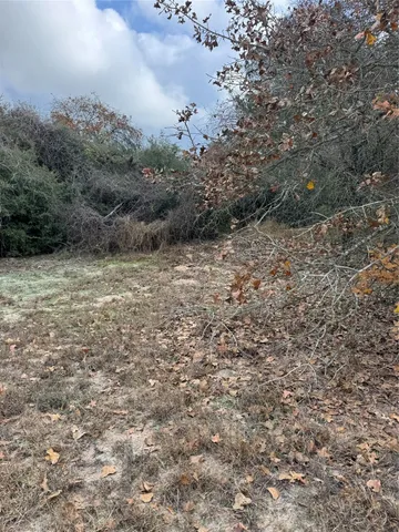 a view of a field with trees in background