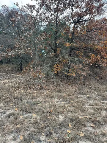 a view of a dry yard with a tree