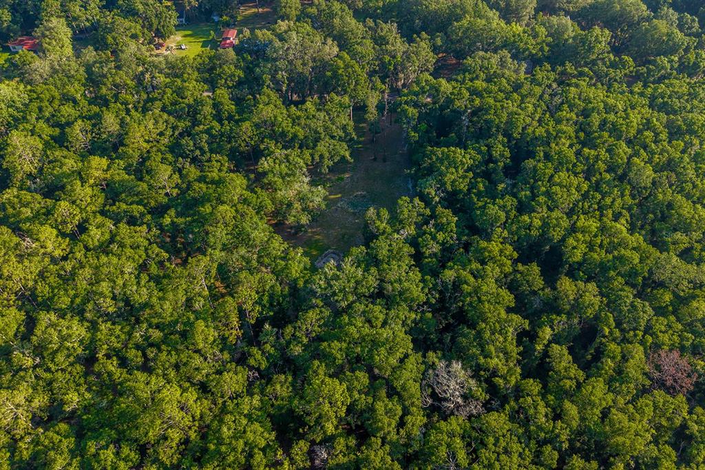 6016 Southwest 52nd Terrace Lake Butler, FL 32054 - Photo 11 of 11