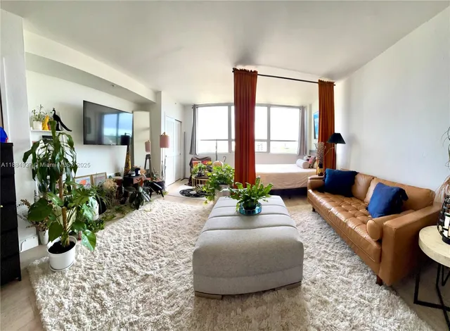 a living room with furniture and a potted plant