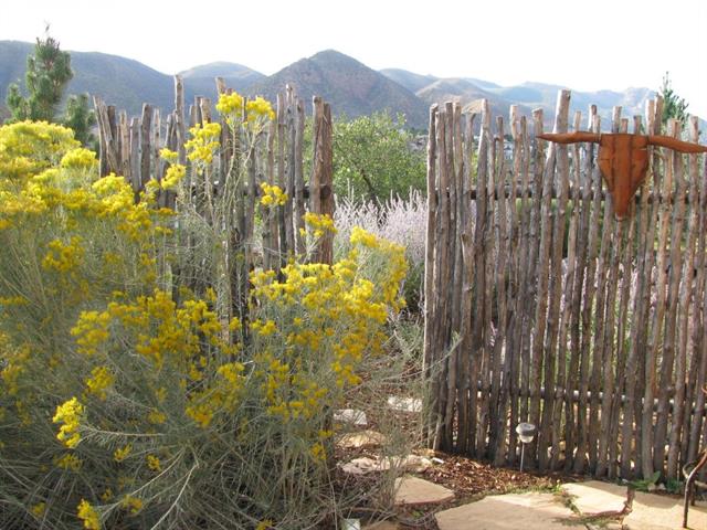 5580 Wilson Road Colorado Springs, CO 80919 - Photo 23 of 25