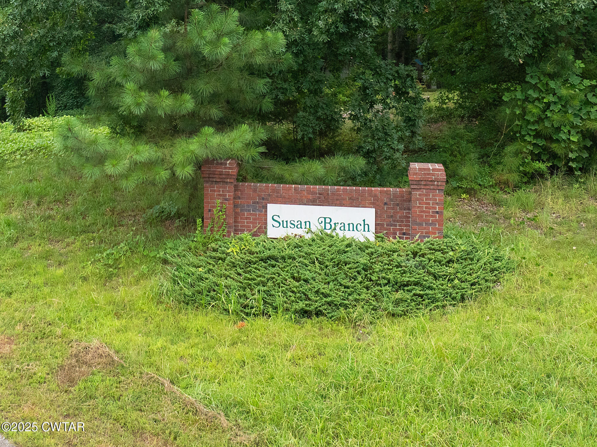 Lot 5 Jason Hollow Road Cedar Grove, TN 38321 - Photo 11 of 11 a view of a back yard
