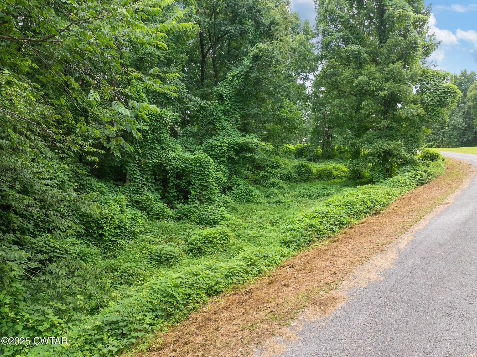 Lot 5 Jason Hollow Road Cedar Grove, TN 38321 - Photo 6 of 11 a view of a garden