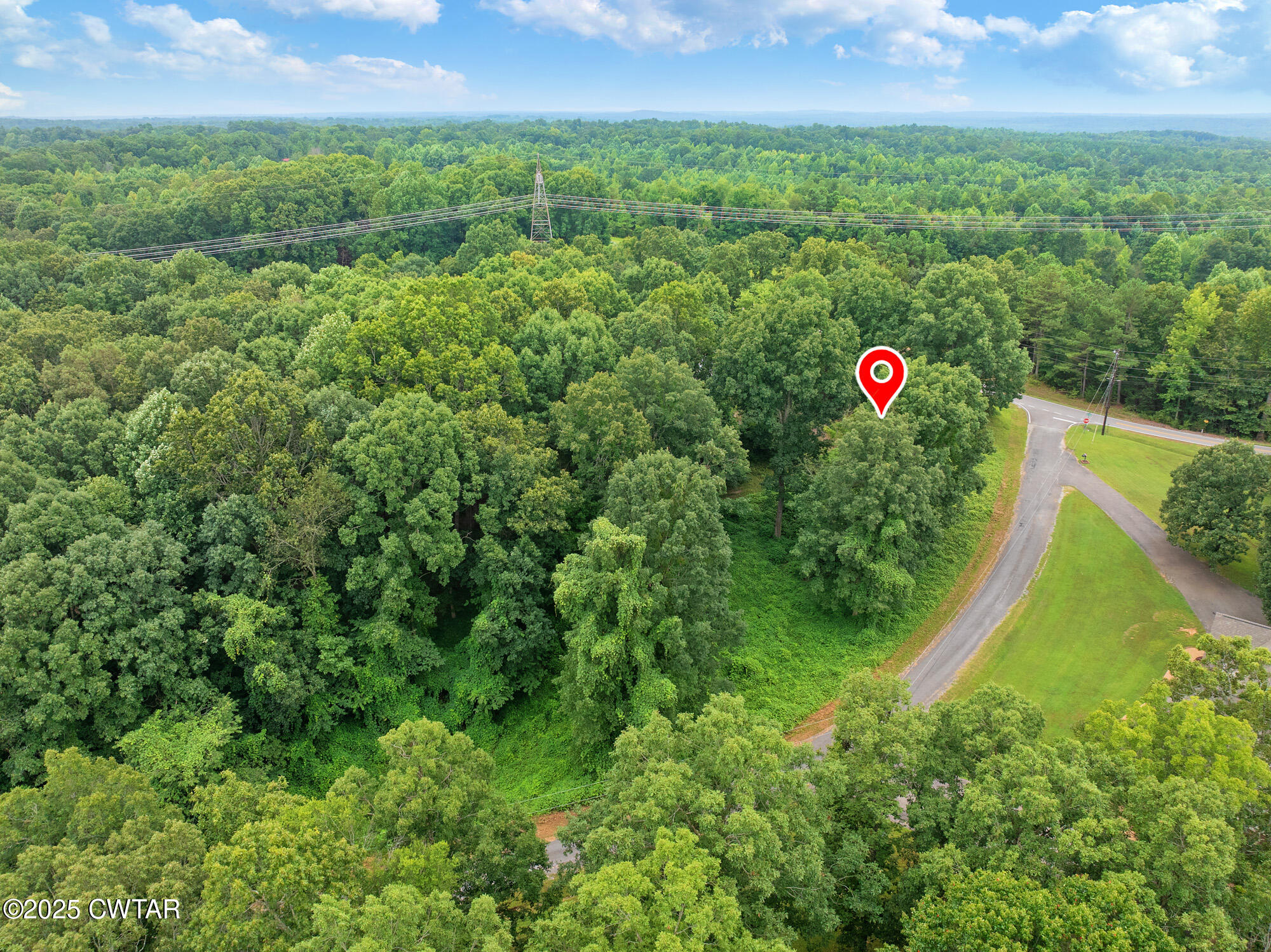 Lot 5 Jason Hollow Road Cedar Grove, TN 38321 - Photo 7 of 11 a view of a field with a tree