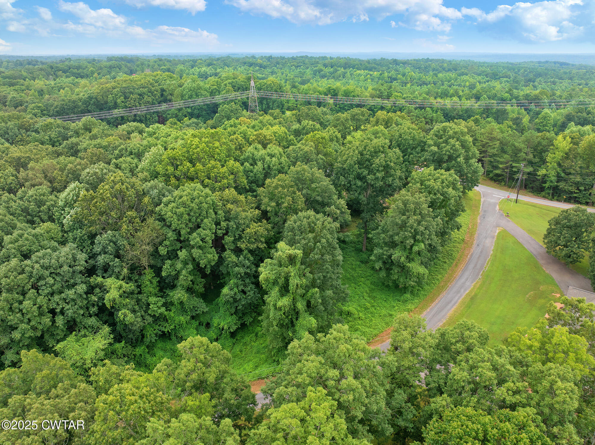 Lot 5 Jason Hollow Road Cedar Grove, TN 38321 - Photo 8 of 11 a view of a garden with a house