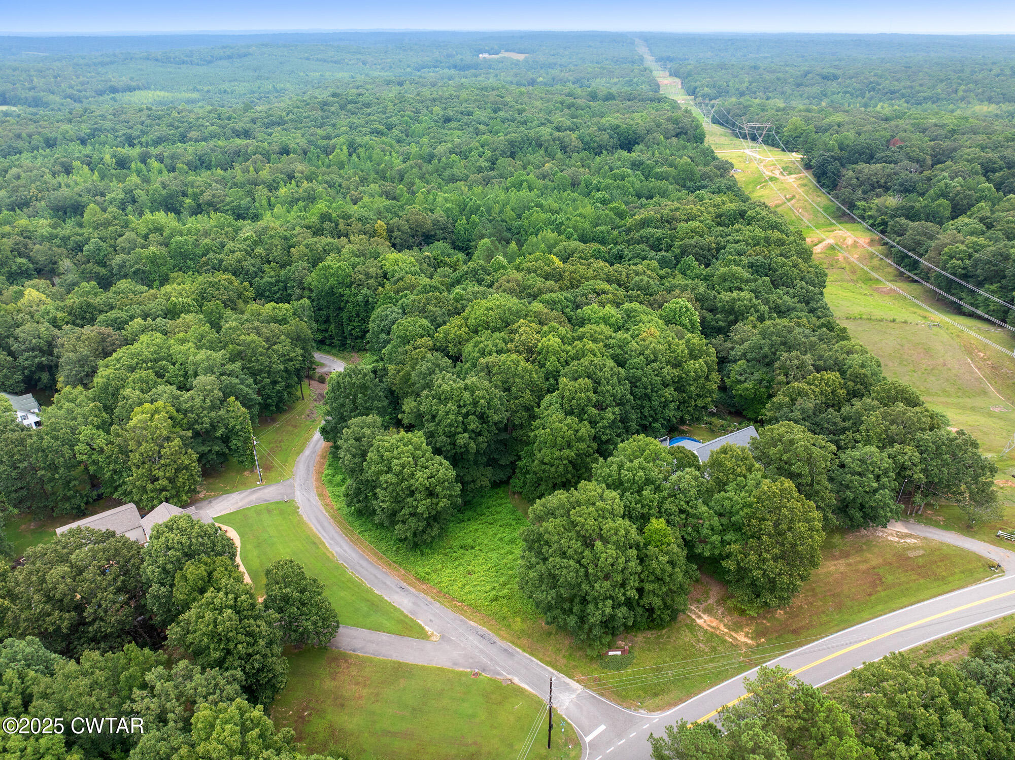 Lot 5 Jason Hollow Road Cedar Grove, TN 38321 - Photo 10 of 11 a view of a green yard with large trees