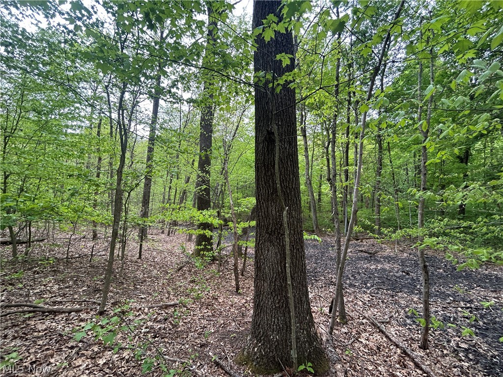 Wesley Chapel Mount Mount Perry, OH 43760 - Photo 10 of 15