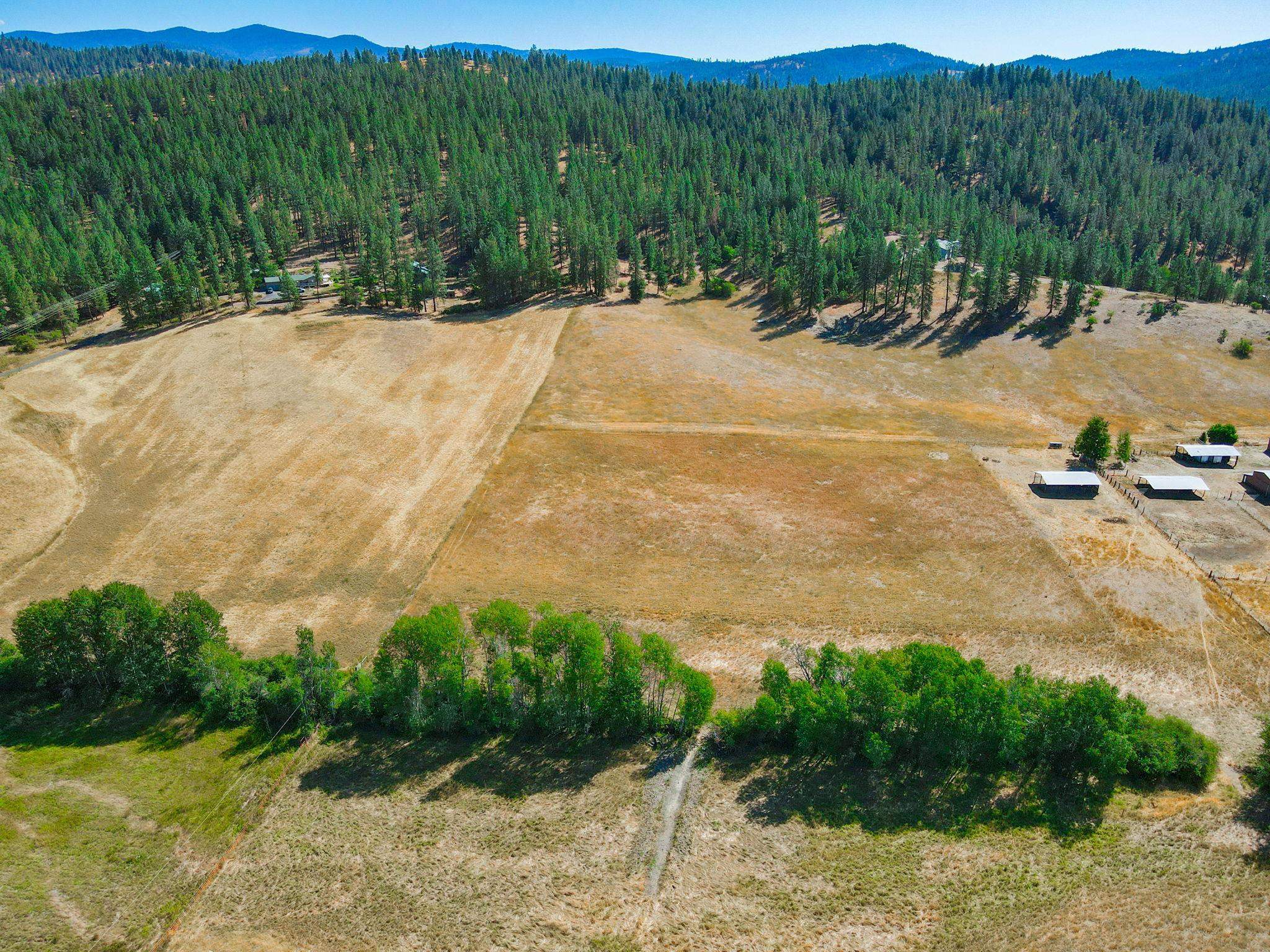 193-xx North Madison Road Mead, WA 99021 - Photo 10 of 16