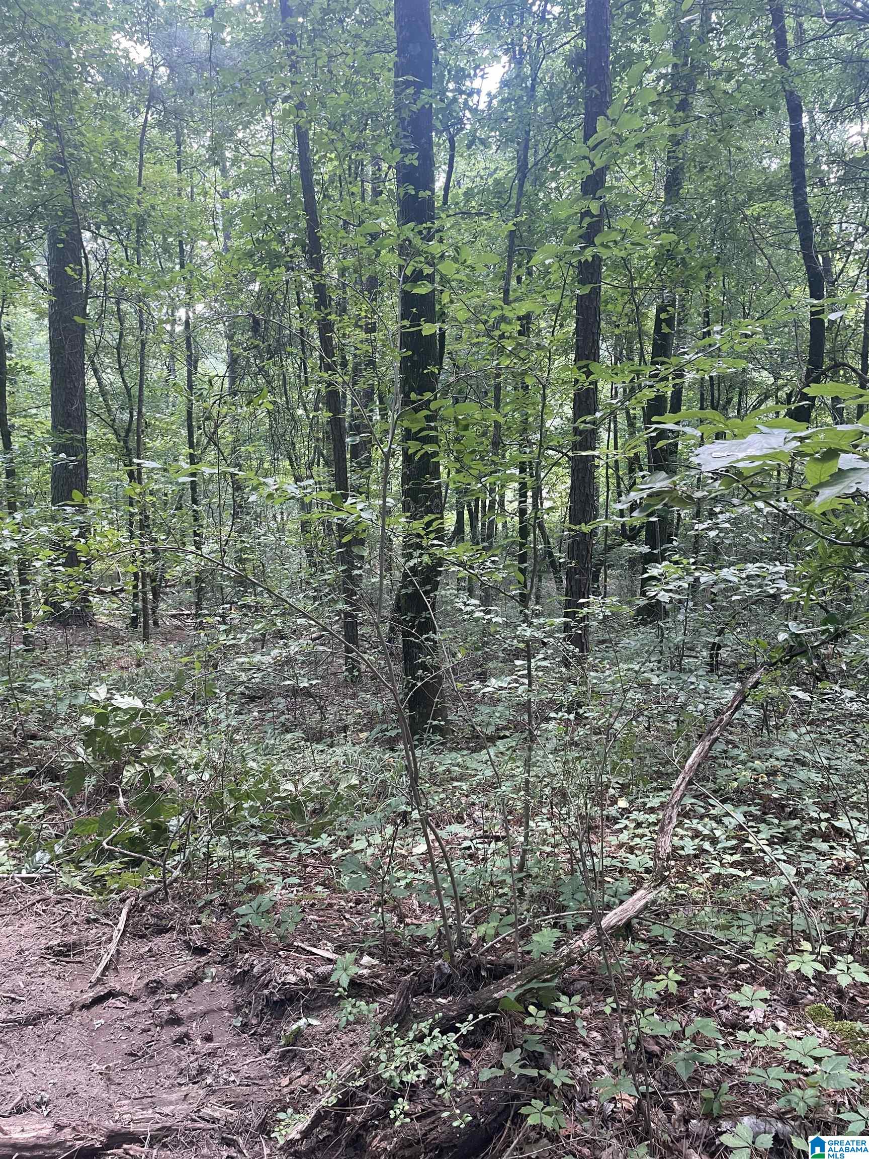 6740 Tucker Brown Road, Unit 9 75 Pinson, AL 35126 - Photo 16 of 44