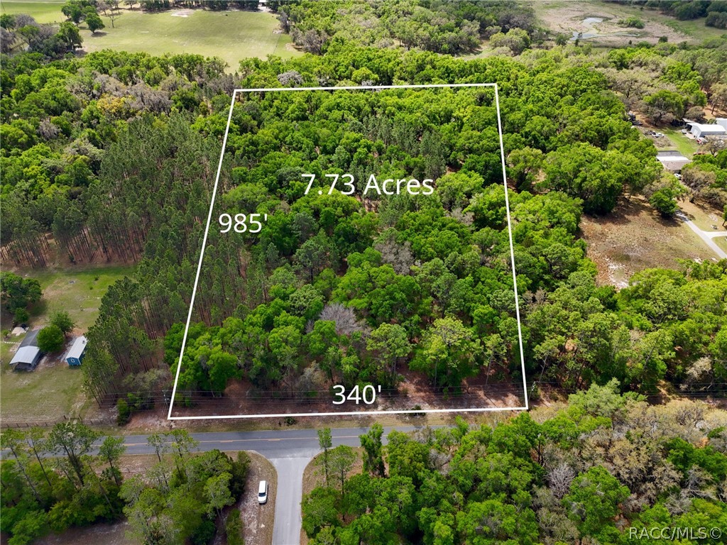 8248 East Fort Cooper Road Inverness, FL 34450 - Photo 9 of 9