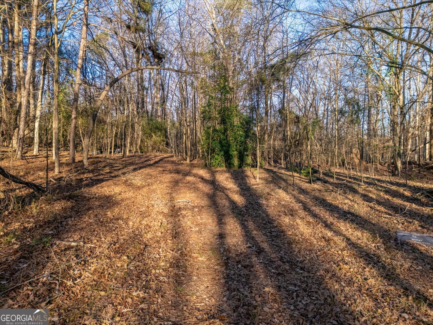 0 Jefferson River Road, Unit TRACT 3 Athens, GA 30607 - Photo 6 of 9 a view of backyard with large trees