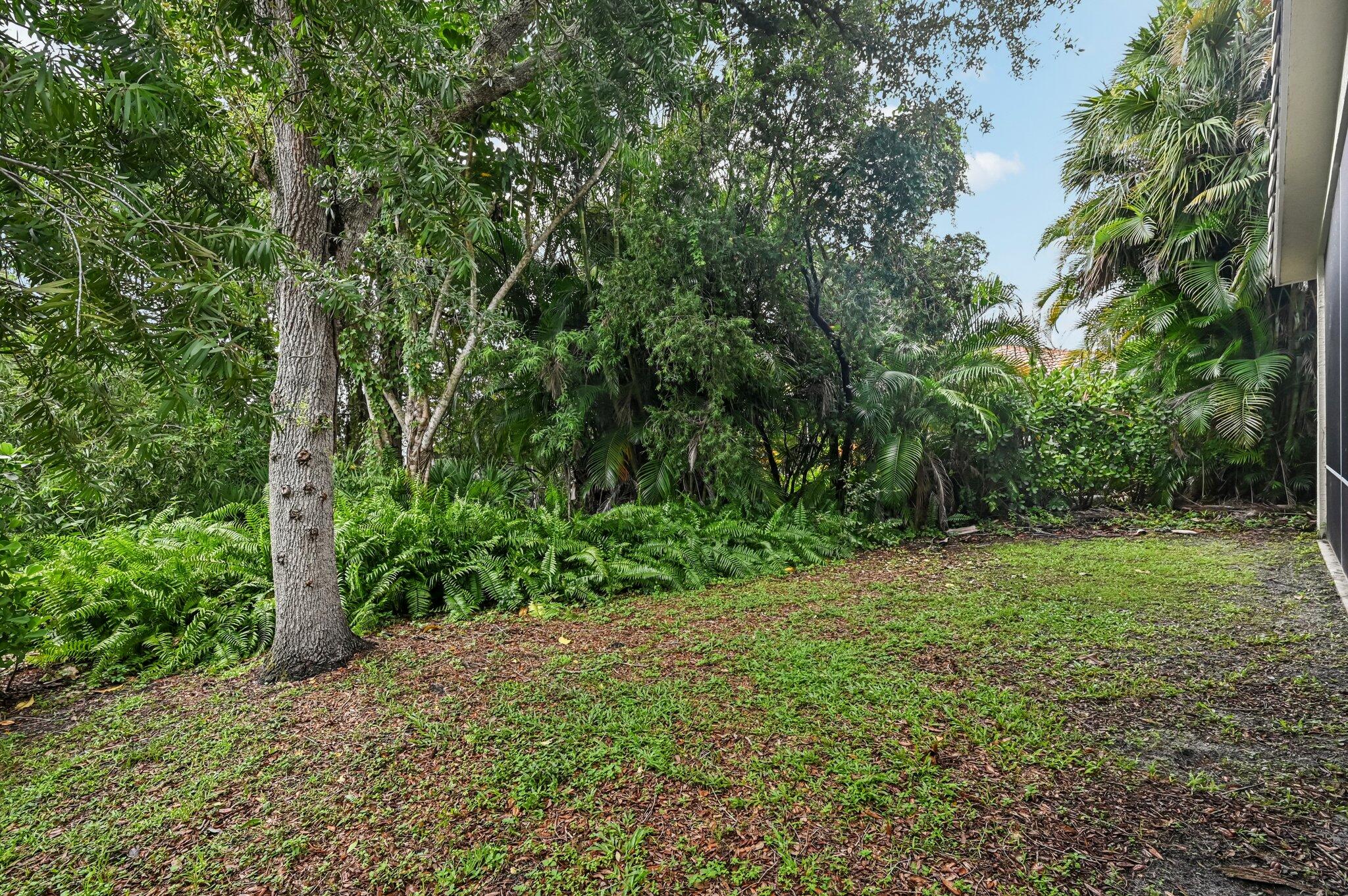 7184 Southeast Magellan Lane Stuart, FL 34997 - Photo 32 of 34 a big yard with lots of green space and deers