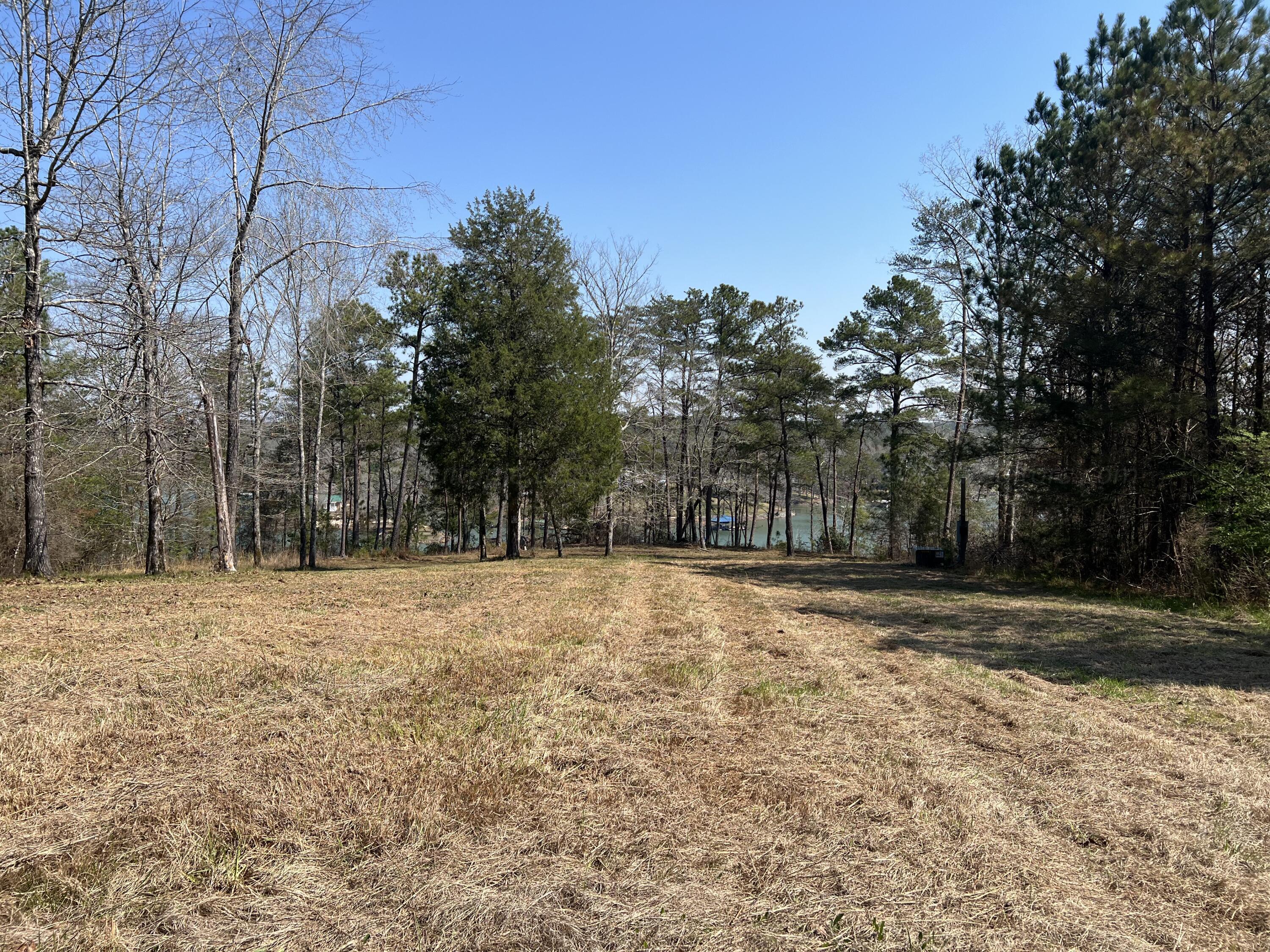 15 Long Leaf Road Lynn, AL 35575 - Photo 6 of 14 Looking Down