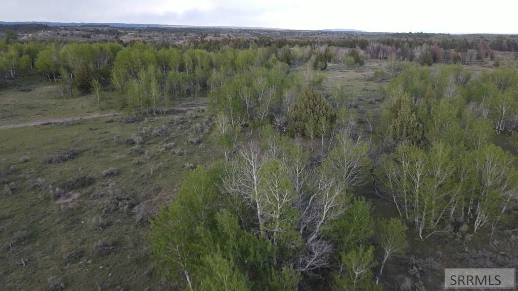Tbd 40-ac Tbd 40-ac Arcadia Road Ashton, ID 83420 - Photo 12 of 43