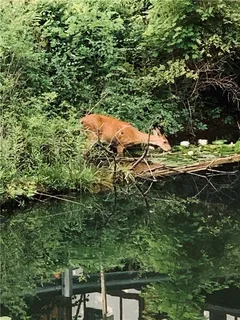 $639,500 | 428 Rockledge Drive, Sewickley, PA 15143