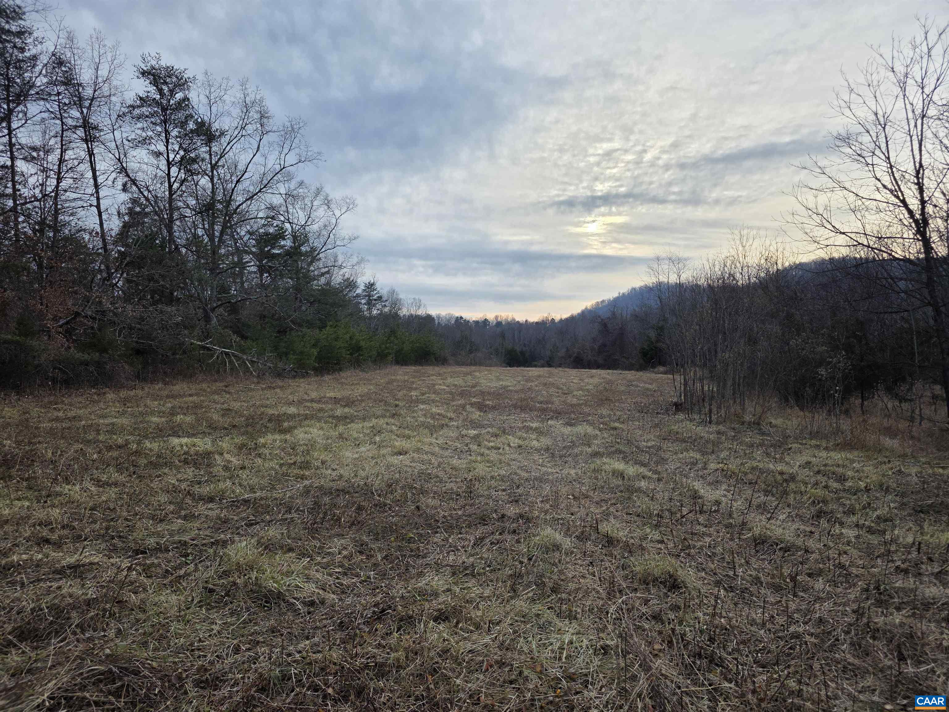 Lot 12 Pea Ridge Road Stanardsville, VA 22973 - Photo 4 of 10 a view of a dry yard with trees