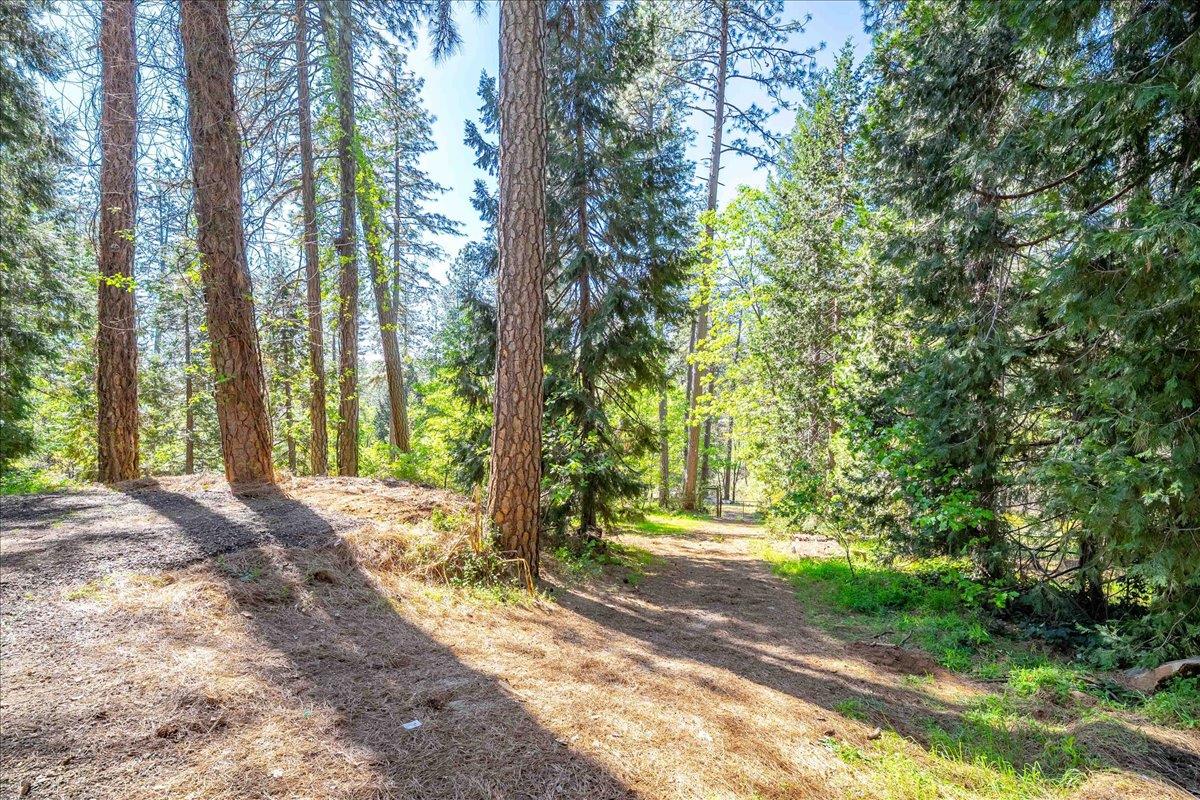 14384 Penn Road Grass Valley, CA 95949 - Photo 74 of 83