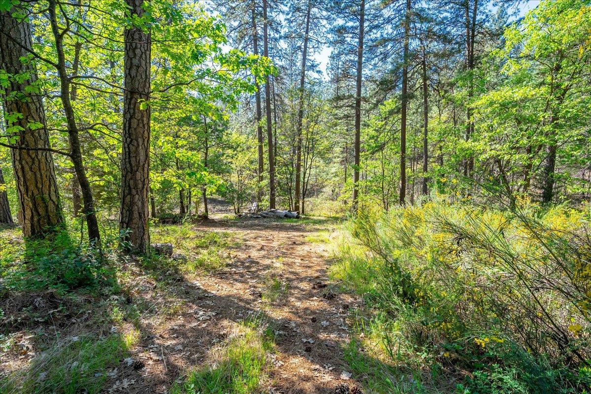 14384 Penn Road Grass Valley, CA 95949 - Photo 77 of 83