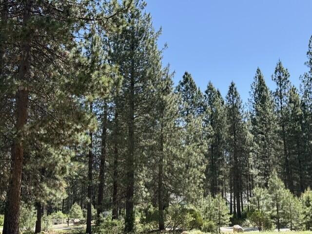Lot 13 Haul Road McCloud, CA 96057 - Photo 6 of 8 Baker 8